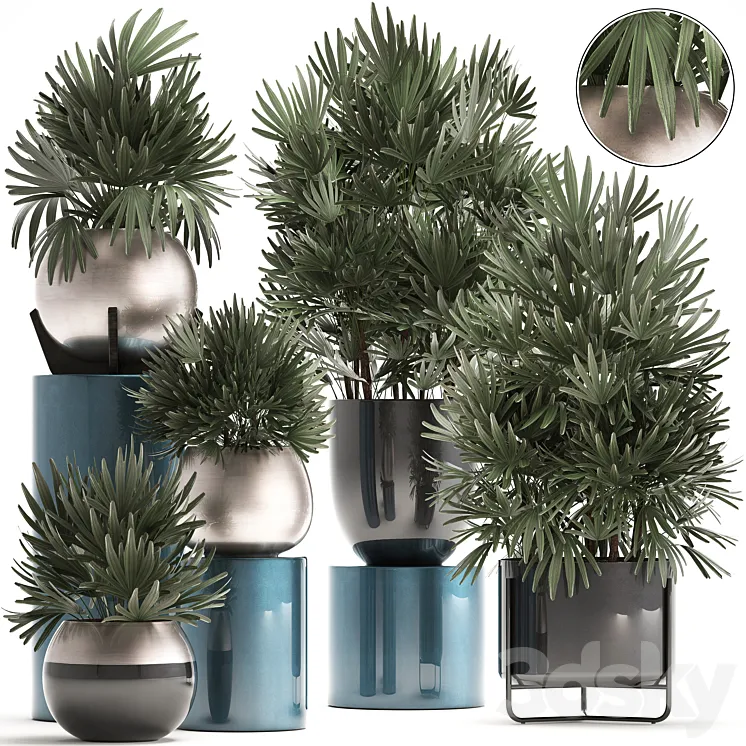 Plant collection 299. Interior palm tree rapis pot flowerpot luxury pot bushes thickets Raphis Palm stylish plants 3DS Max