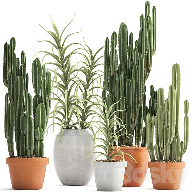 Plant collection 302. Cactus set. Cacti. cereus. aloe. indoor cactus. pot. flowerpot. clay. clinker. Aloe. concrete. desert plants. outdoor 3DSMax File