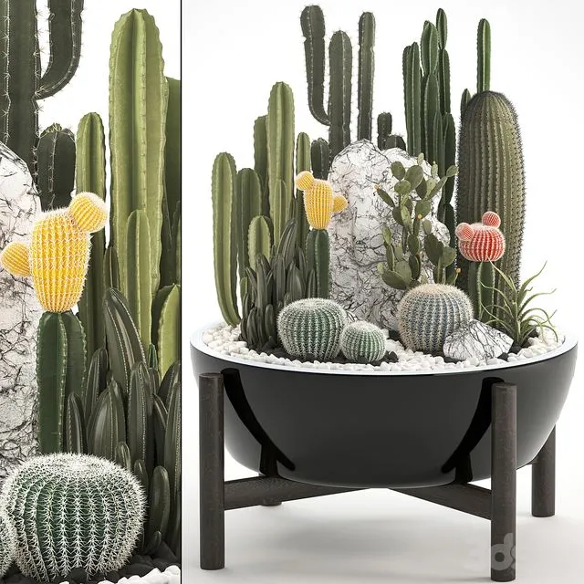 Plant collection 305 3dsMax Model