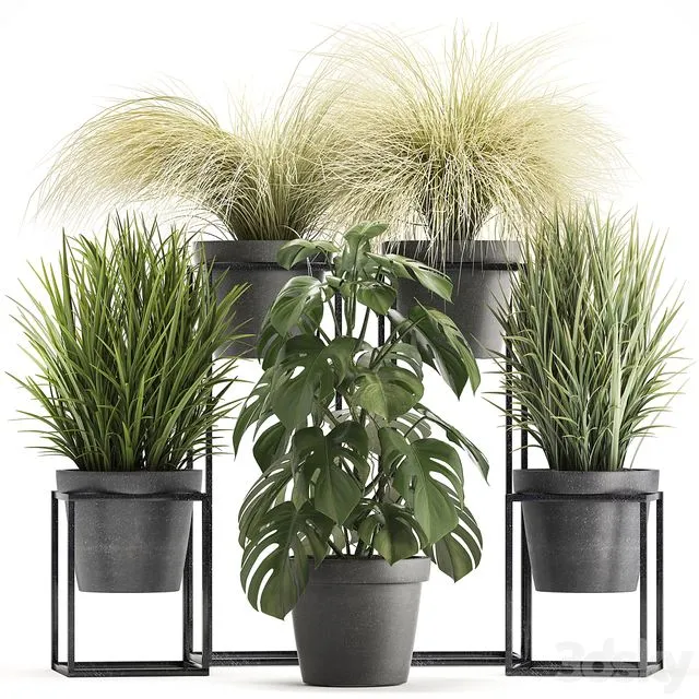 Plant collection 316 3dsMax Model