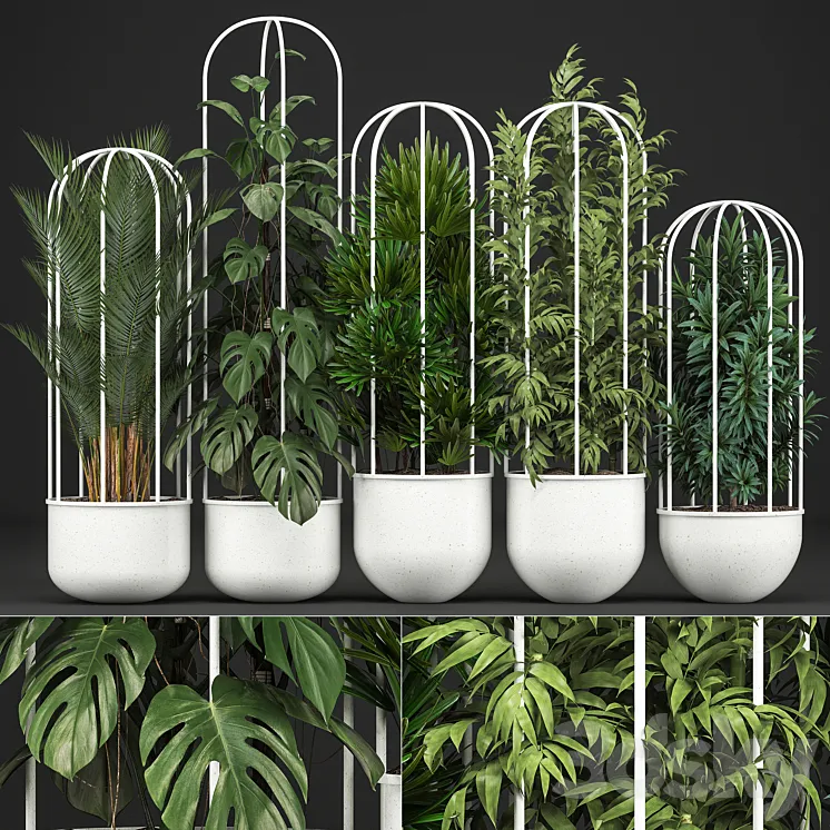 Plant collection 328. White pot flowerpot monstera bamboo dracaena palm tree indoor plants Scandinavian style metal flowerpot bushes thickets 3DS Max