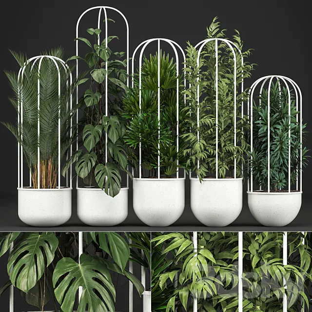 Plant collection 328. White pot. flowerpot. monstera. bamboo. dracaena. palm tree. indoor plants. Scandinavian style. metal flowerpot. bushes. thickets 3DSMax File