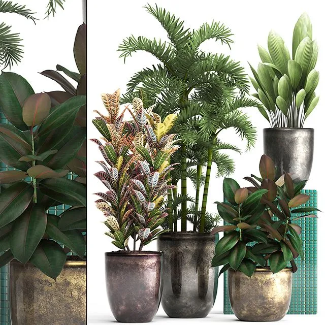 Plant collection 353 3dsMax Model