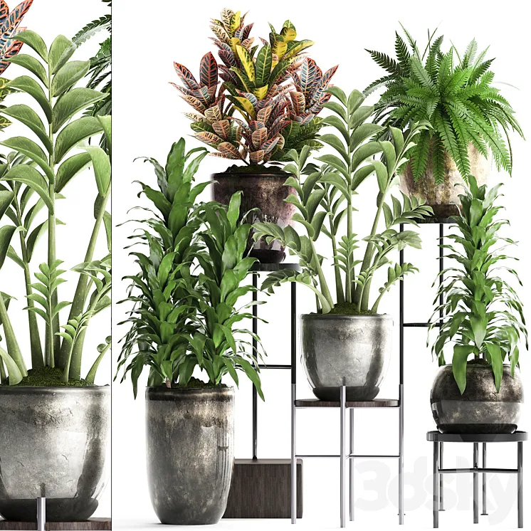 Plant Collection 362. luxury flowerpot croton fern Zamioculcas indoor plants luxury flowerpot flower stand interior 3DS Max
