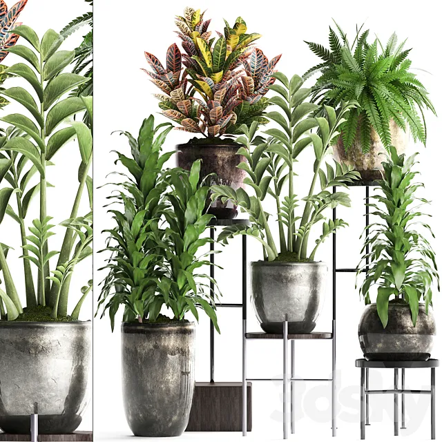 Plant Collection 362. luxury flowerpot. croton. fern. Zamioculcas. indoor plants. luxury flowerpot. flower stand. interior 3DSMax File