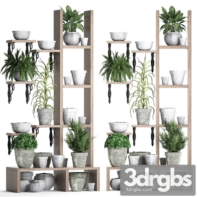 Plant collection 365. shelf with plants aloe flowerpot greenery vertical garden concrete eco design 2 3dsmax Download