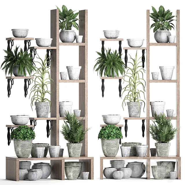 Plant Collection 365. Shelf with plants aloe flowerpot greenery vertical garden concrete eco design 3ds Max