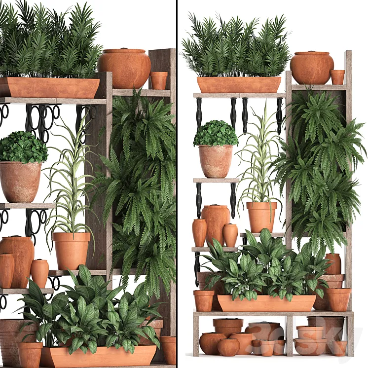 Plant Collection 366. Plant shelf fern flowerpot greenery vertical garden clay pot aloe clinker vertical garden phytowall 3DS Max
