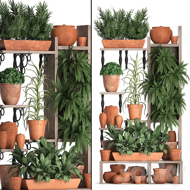 Plant Collection 366. Plant shelf. fern. flowerpot. greenery. vertical garden. clay pot. aloe. clinker. vertical garden. phytowall 3DSMax File