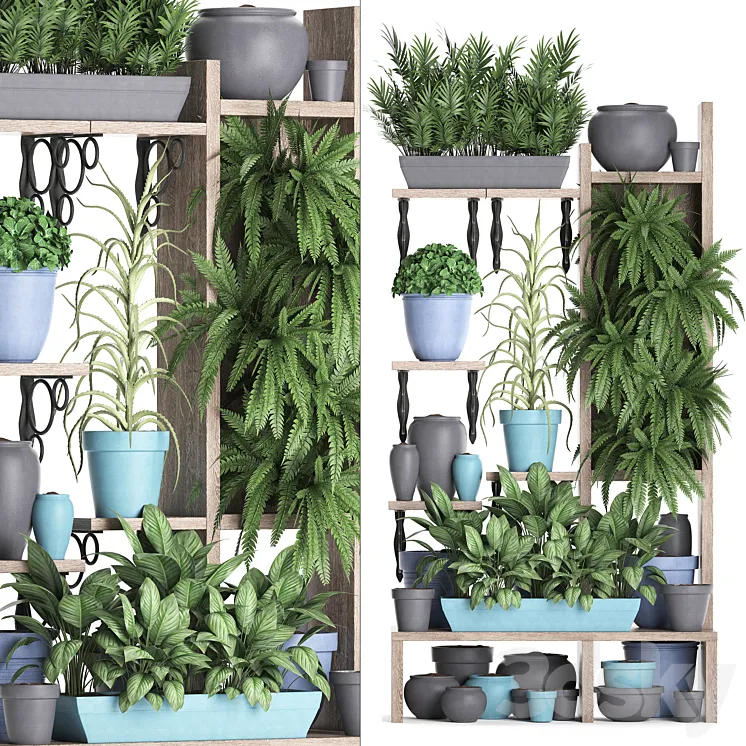 Plant Collection 367. Shelf with plants fern flowerpot greenery vertical garden phytowall phytomodule pots eco design 3DS Max