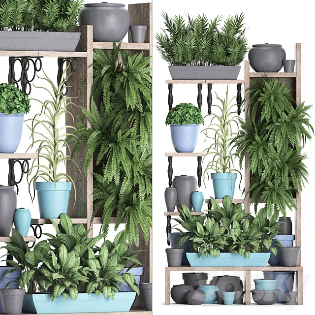 Plant Collection 367. Shelf with plants. fern. flowerpot. greenery. vertical garden. phytowall. phytomodule. pots. eco design 3DSMax File