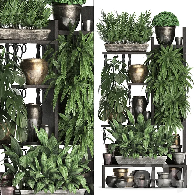 Plant Collection 368. Flower shelf. fern. monstera. flowerpot. greenery. vertical garden. phytowall. phytomodule. pots. eco design 3DSMax File