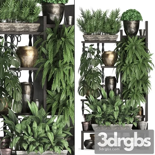Plant collection 368. flower shelf, fern, monstera, flowerpot, greenery, vertical garden, phytowall, phytomodule, pots, eco design