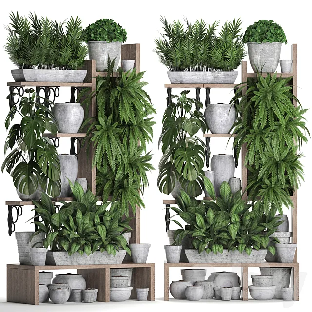 Plant Collection 369. Shelf with flowers fern flowerpot greenery vertical garden concrete pot phytowall phytomodule pots eco design Areca palm 3ds Max