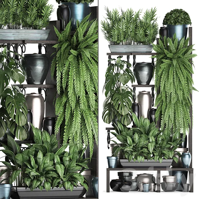 Plant Collection 371. Shelf with flowers ficus lyrata monstera flowerpot greenery vertical garden phytowall phytomodule pots eco design Scandinavian style 3DS Max Model