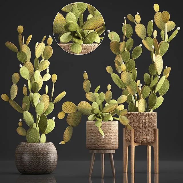Plant Collection 375 3dsMax Model