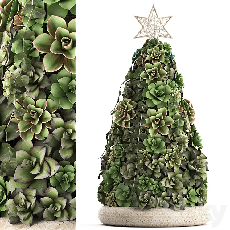 Plant Collection 420. succulents Christmas tree cake Echeveria 3DS Max