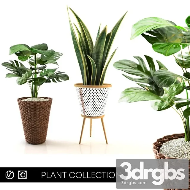 Plant collection Set 02