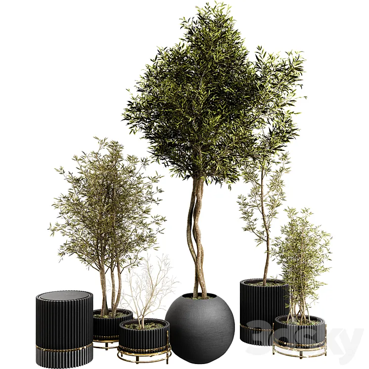 Plant Collection Set 03 3DS Max Model