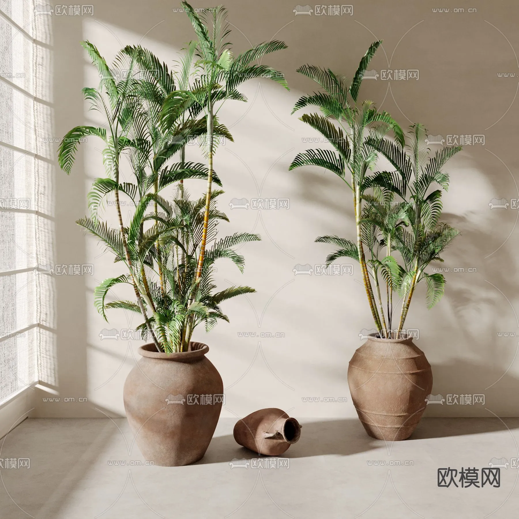 Plant – CORONA – 3D MODEL – 401