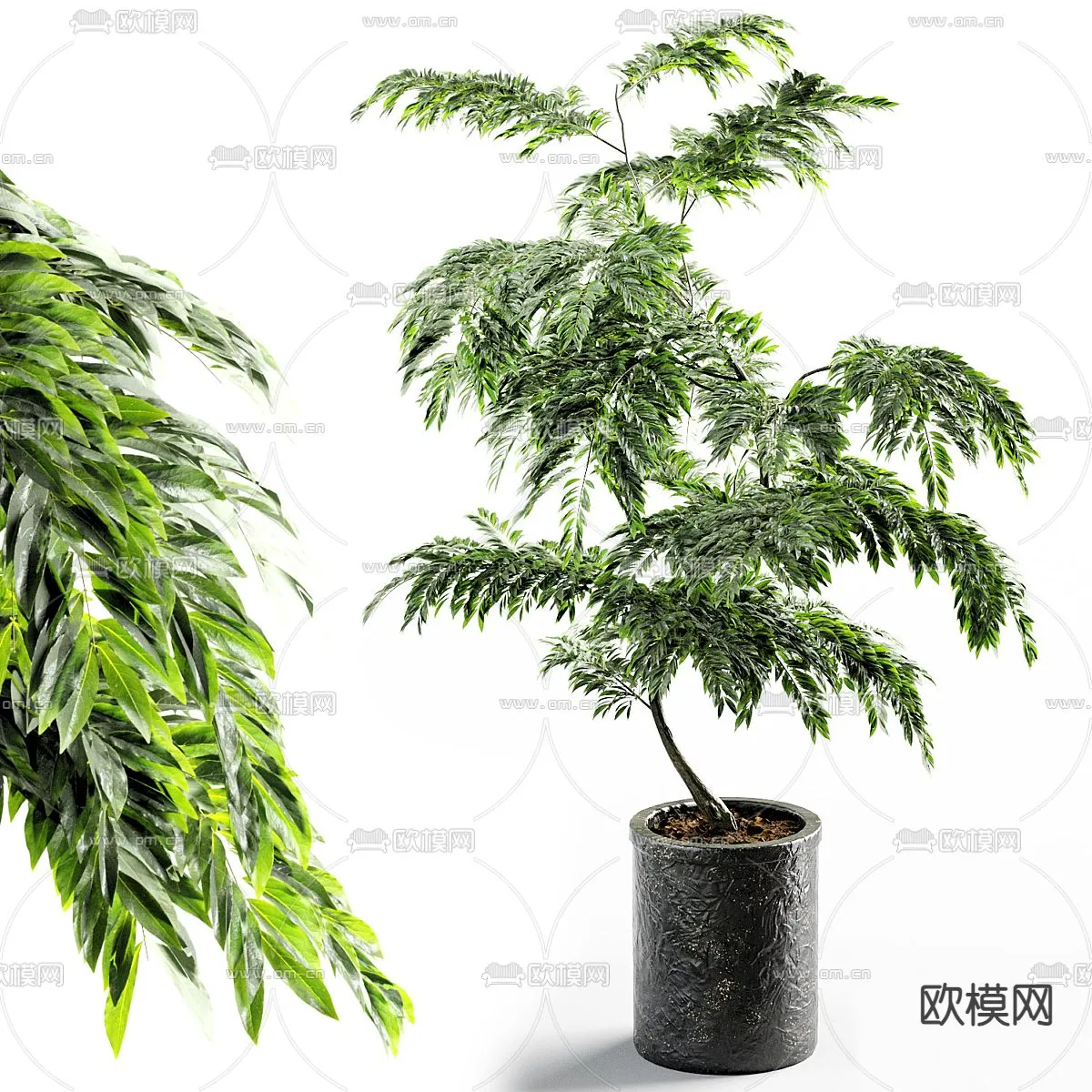 Plant – CORONA – 3D MODEL – 408