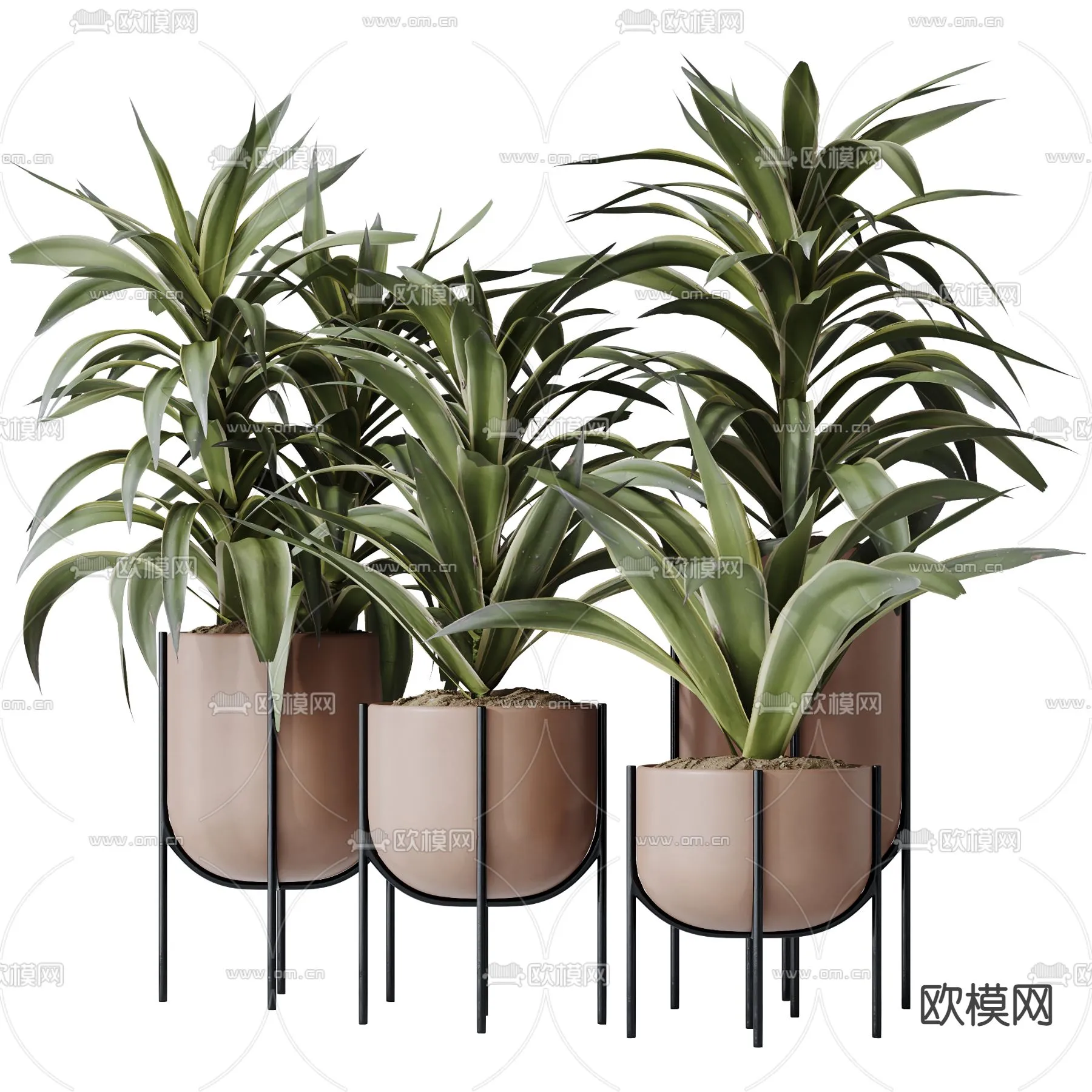 Plant – CORONA – 3D MODEL – 428
