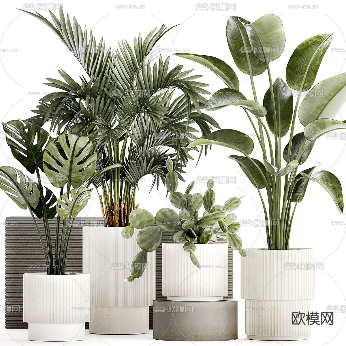 Plant – CORONA – 3D MODEL – 429
