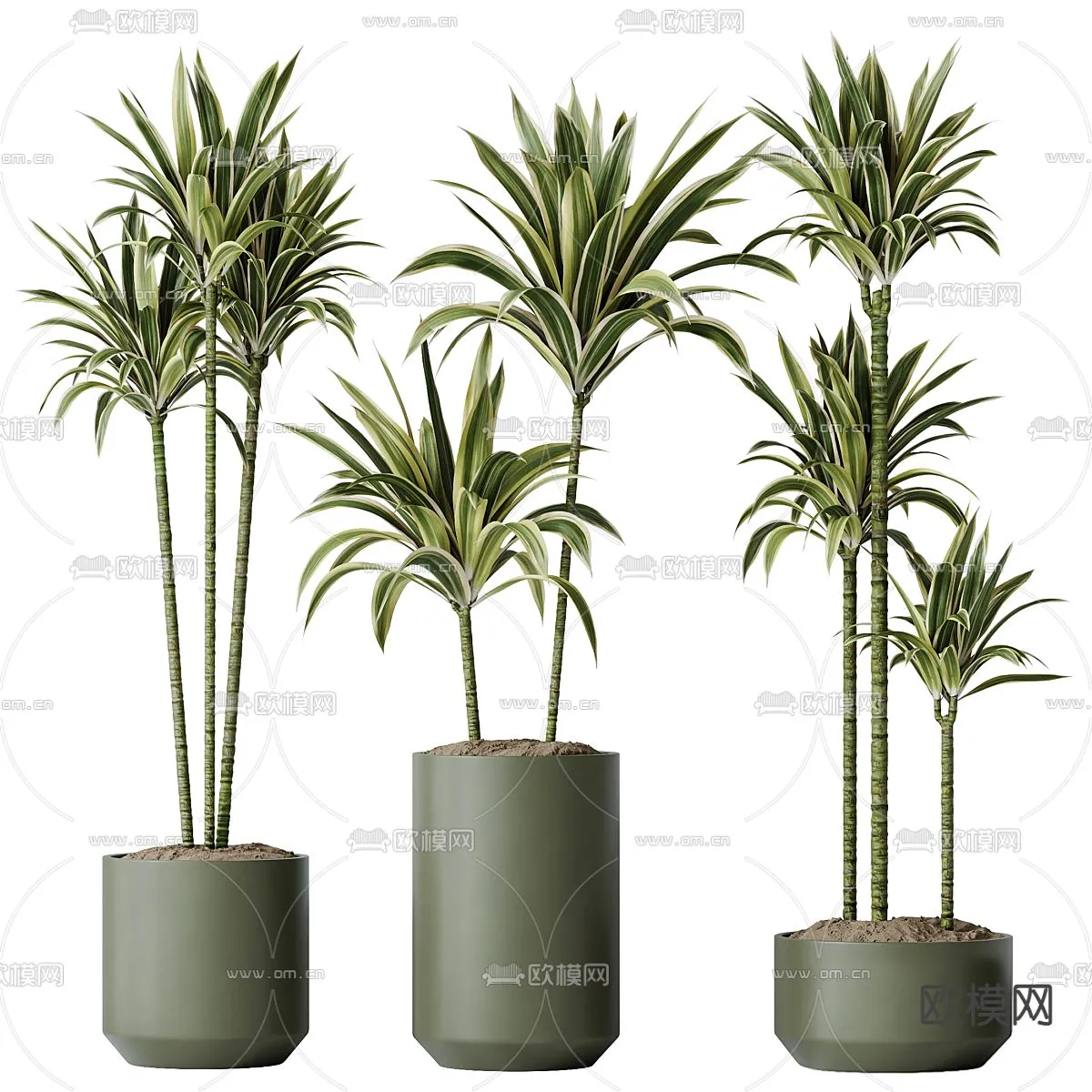 Plant – CORONA – 3D MODEL – 431