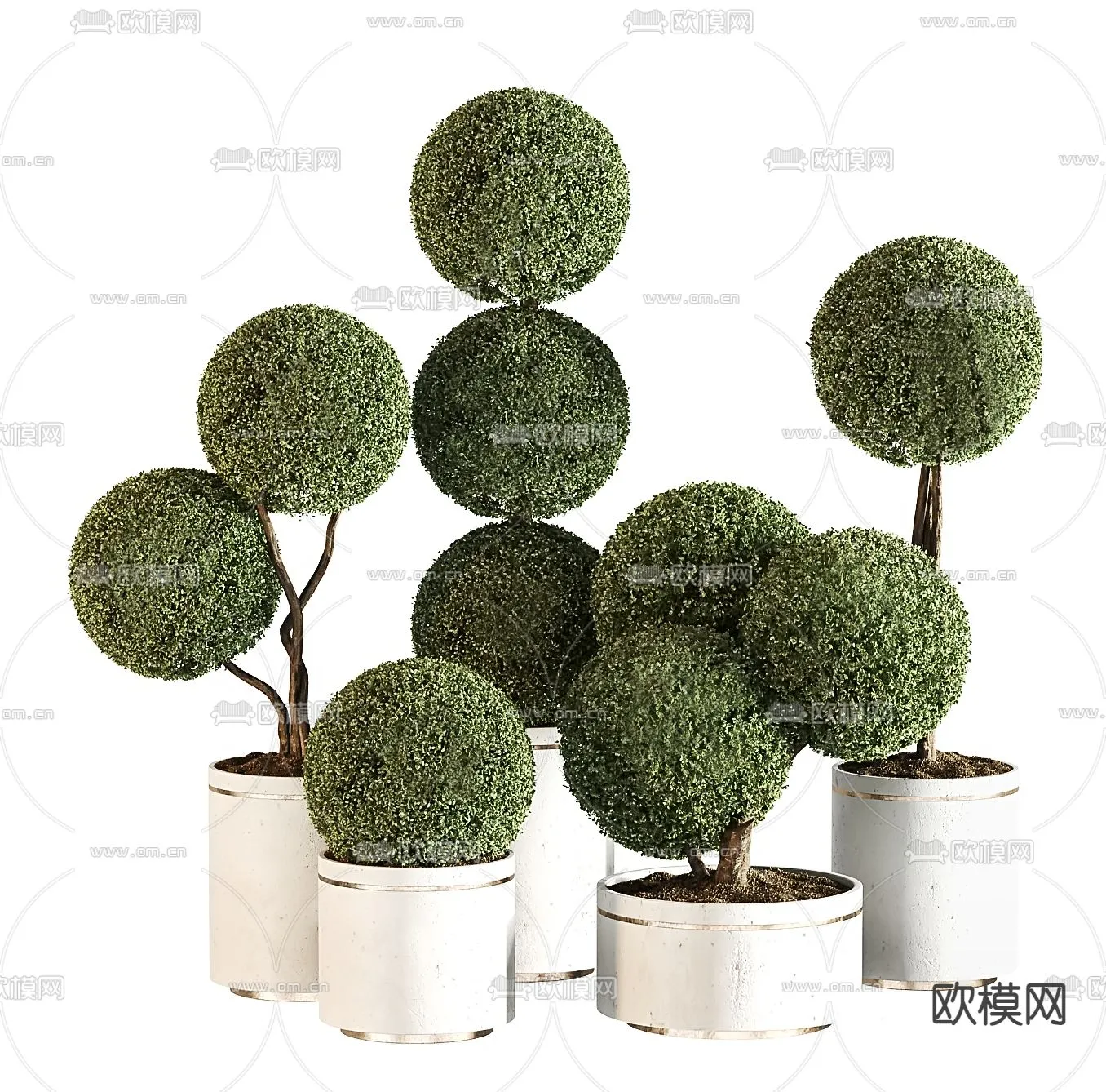 Plant – CORONA – 3D MODEL – 437