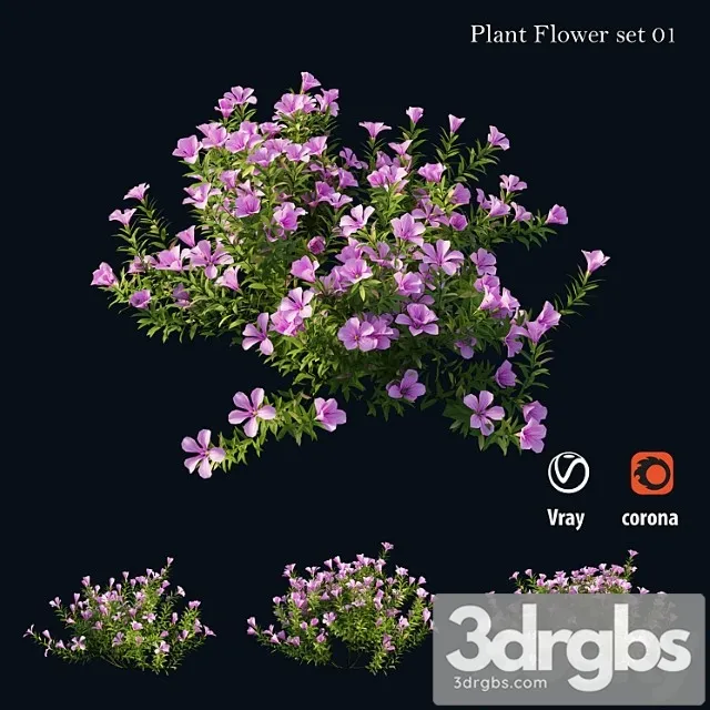 Plant Flower Set 01 3dsmax Download