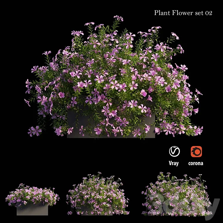 Plant Flower set 02 3DS Max