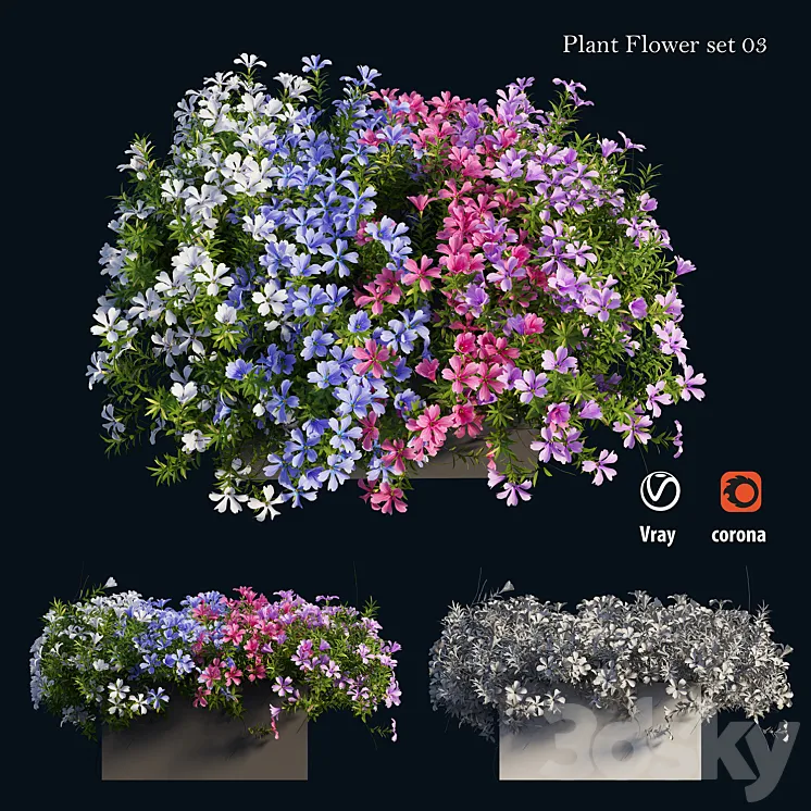 Plant Flower set 03 3DS Max