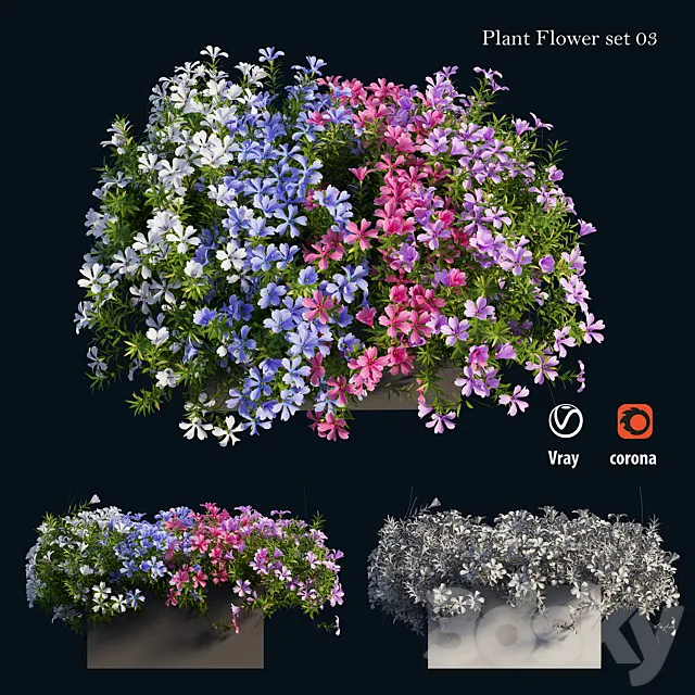 Plant Flower set 03 3DSMax File