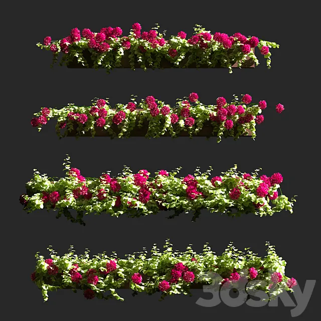 Plant Geranium Facade v2 3DS Max Model