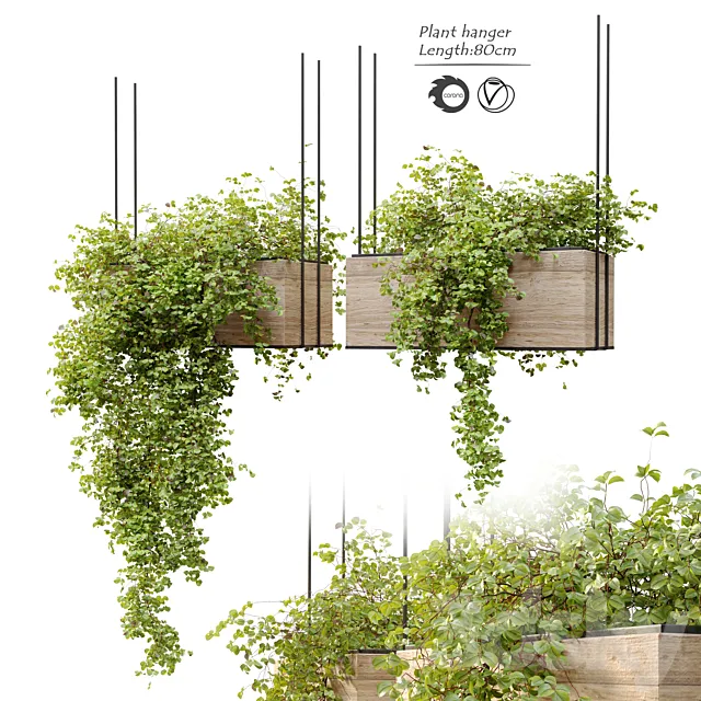 Plant hanger 3DS Max Model