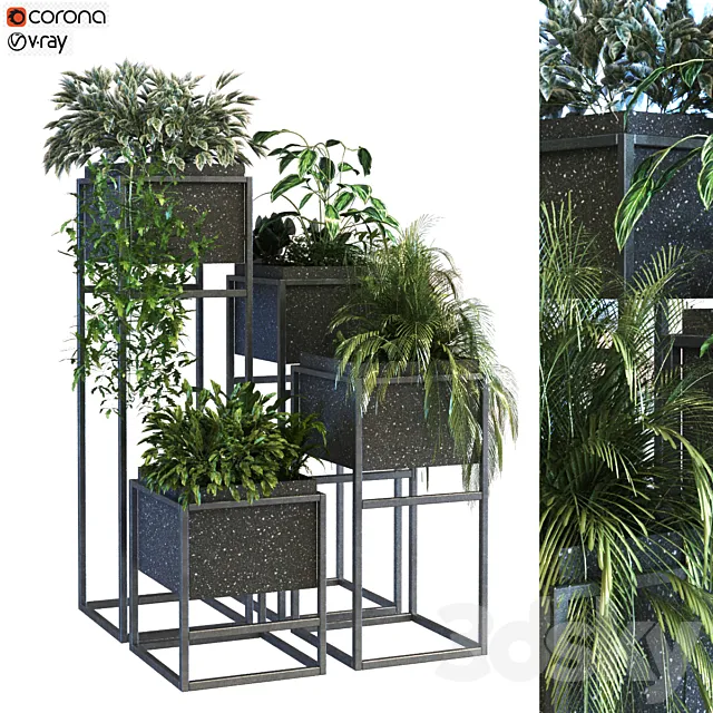 plant in box set 067 3ds Max