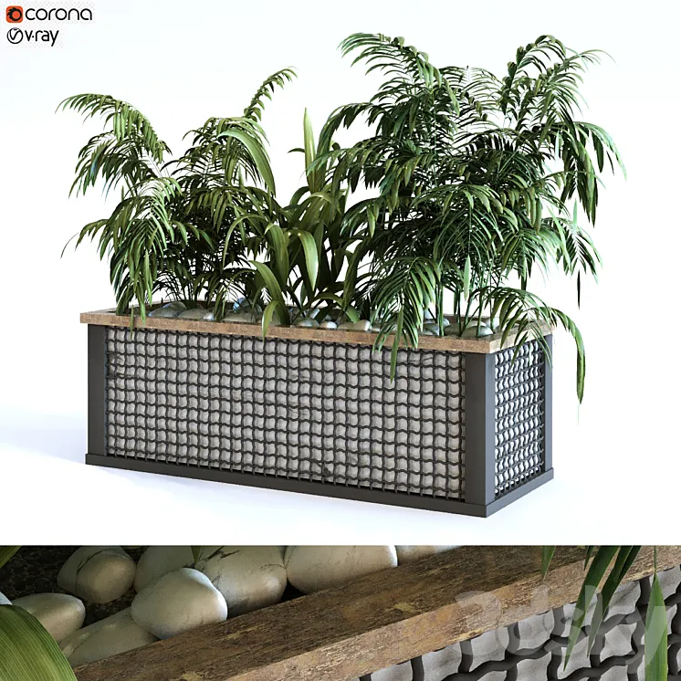 plant in box set 110 3DS Max