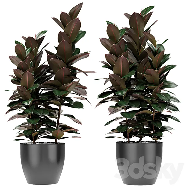 Plant in Pot Flowerpot Exotic Plant 3DS Max Model