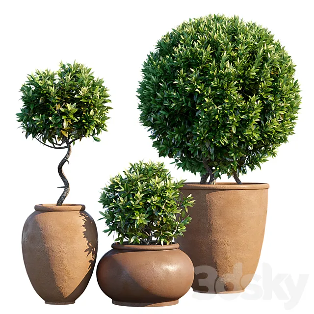 Plant in pots # 10: Mediterranean 3DSMax File