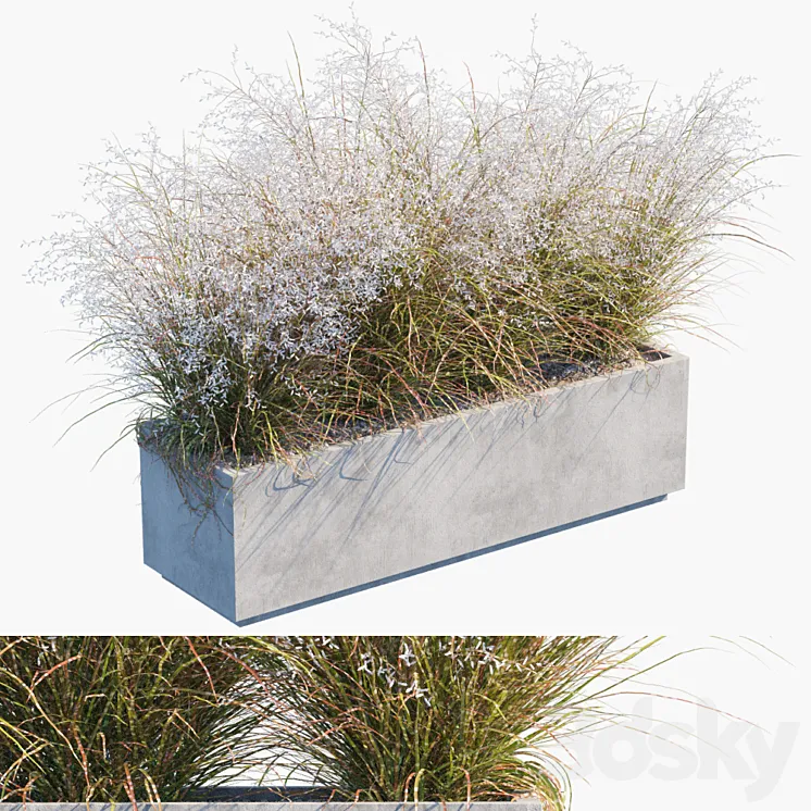 Plant in pots # 24: Miscanthus flowering 3DS Max