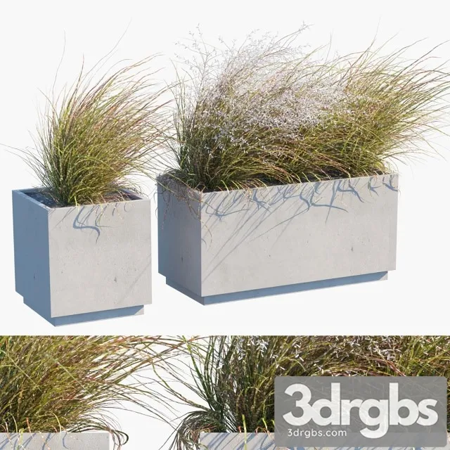 Plant In Pots 27 Wind Blows 3dsmax Download