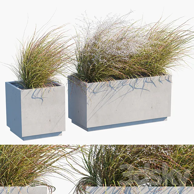 Plant in pots # 27: Wind blows 3DS Max Model