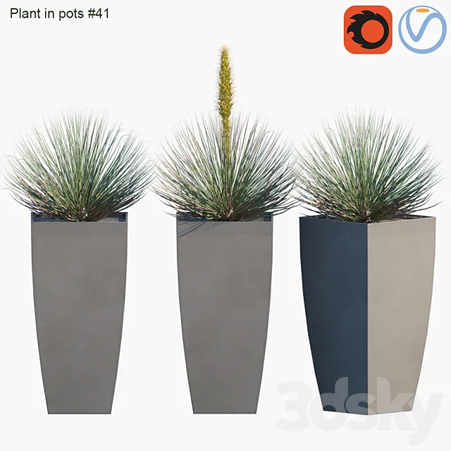 Plant in pots # 41: Agave 3DS Max Model