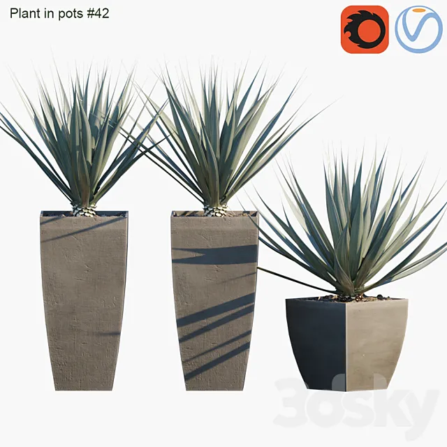 Plant in pots # 42: Agave 3DS Max Model