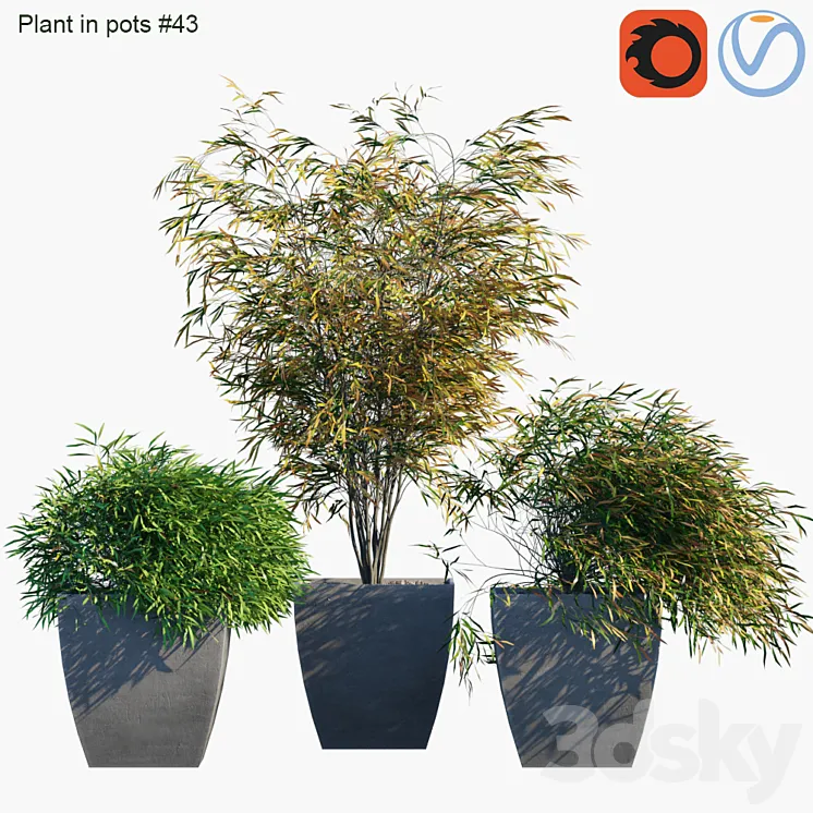 Plant in pots # 43: Palm and grass 3DS Max
