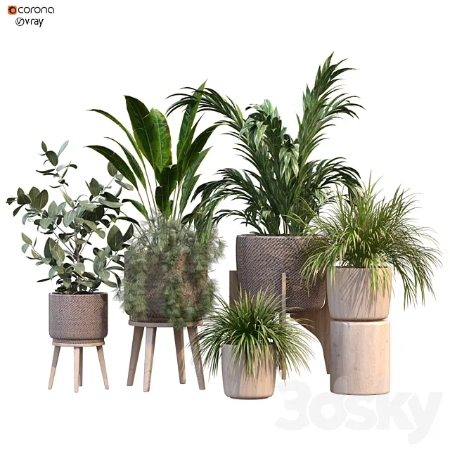 plant in vase collection set 214 3ds Max