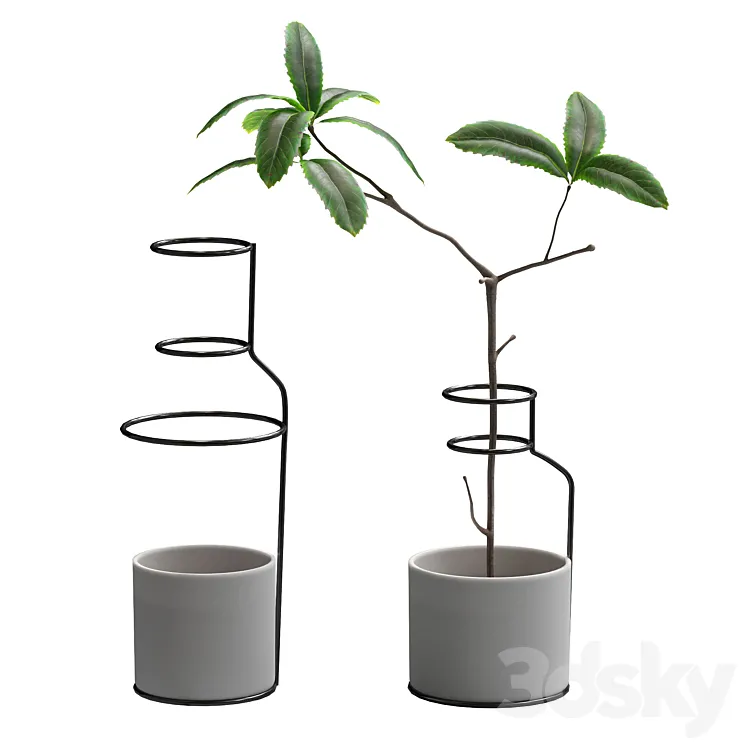 Plant in wire pots 3DS Max