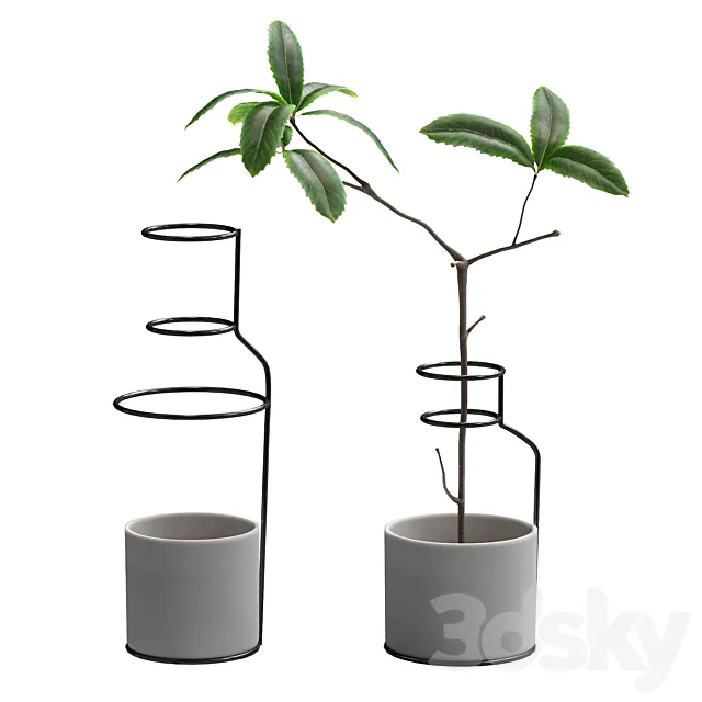 Plant in wire pots 3DSMax File