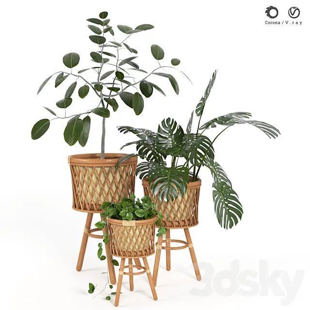 plant indoor 02 3DS Max Model