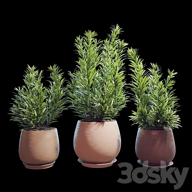 Plant set 07 3DSMax File